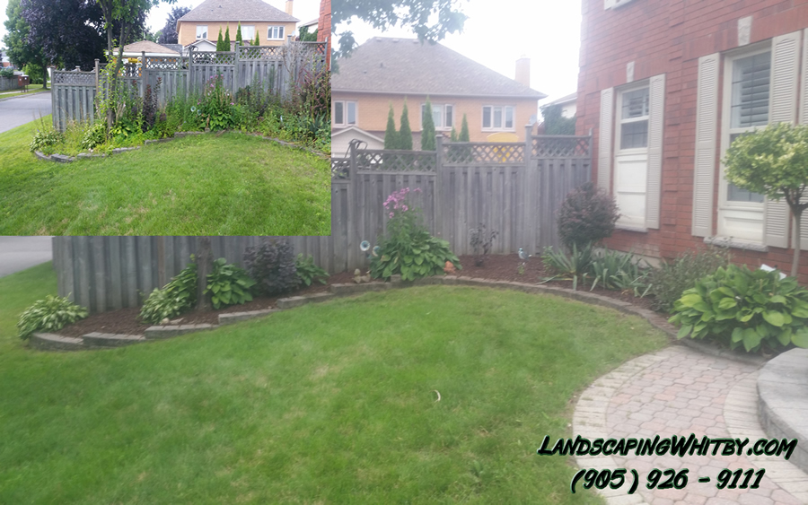 Gardening Gardener Flower Beds Clean-Up